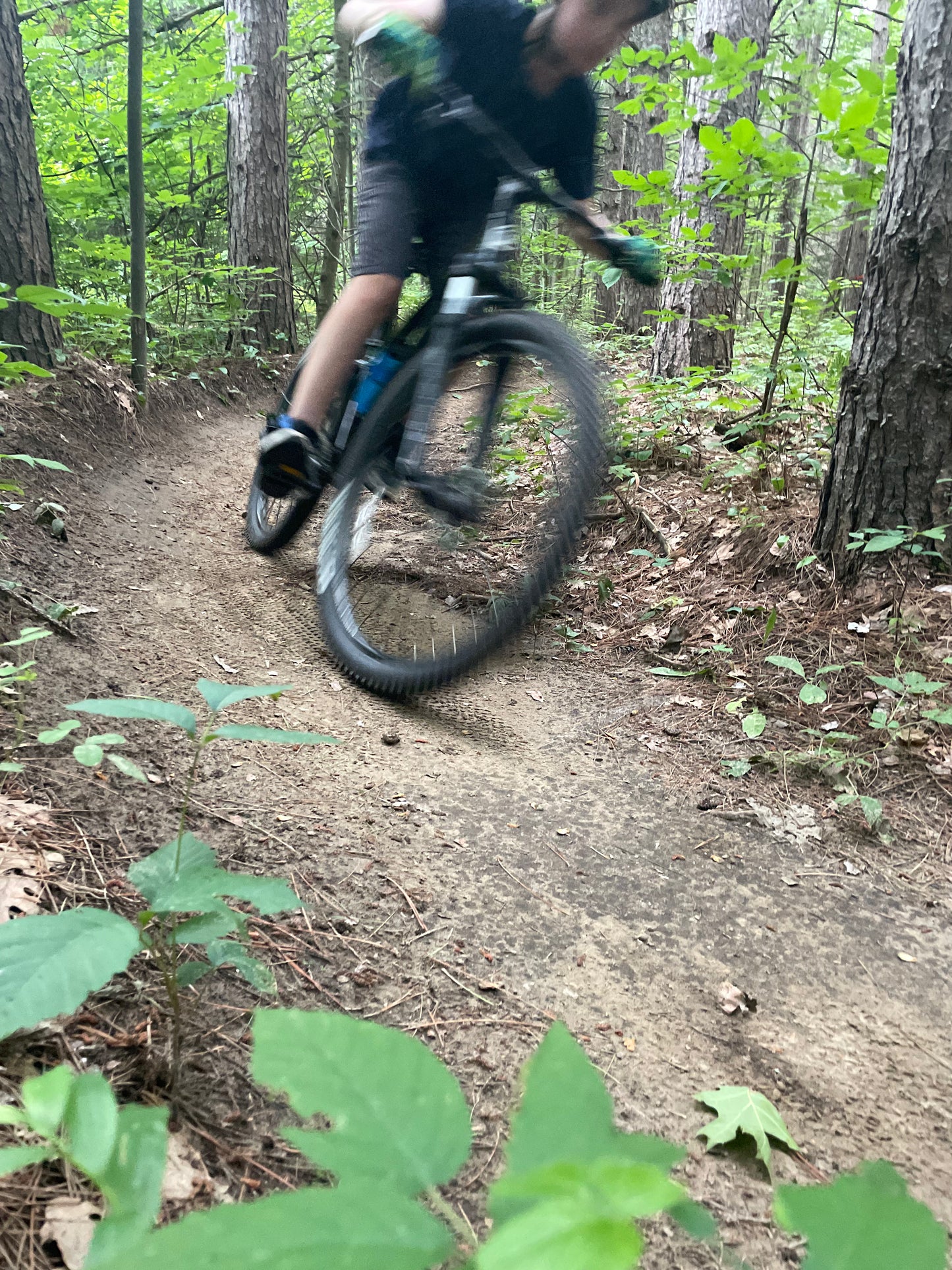 Family Ride Durham Forest