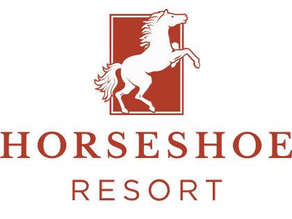 Horseshoe valley resort mountain bike